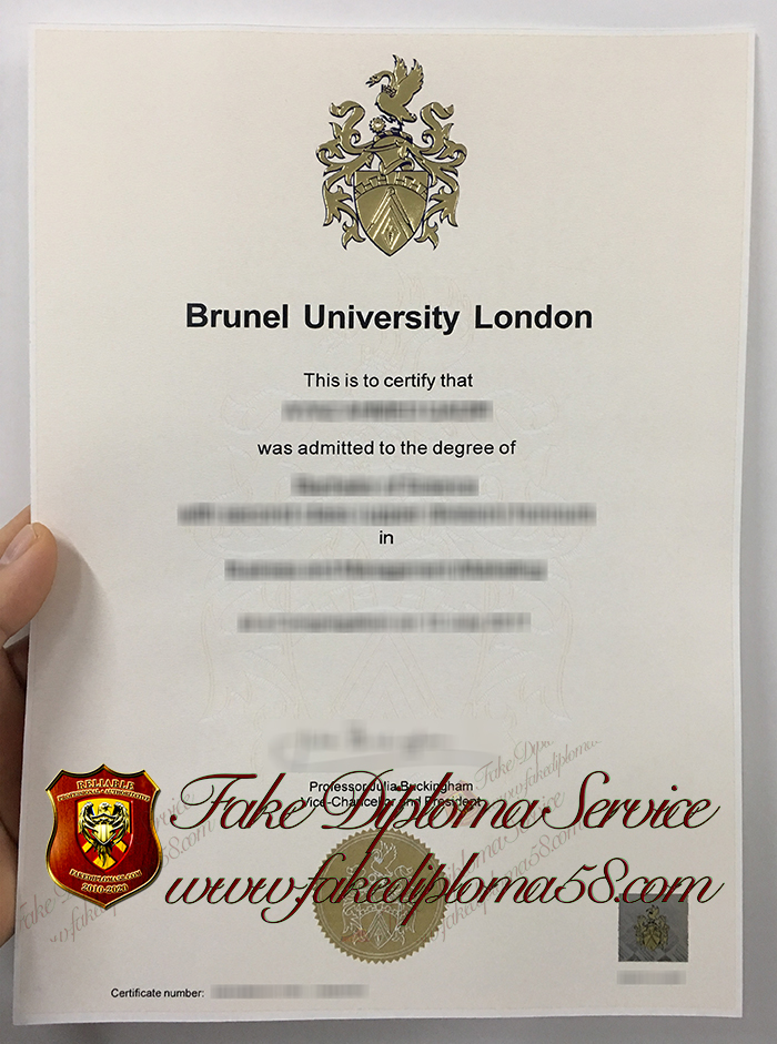 Brunel University London degree