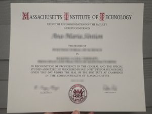 MIT degree