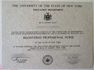 Registered Professional Nurse certificate