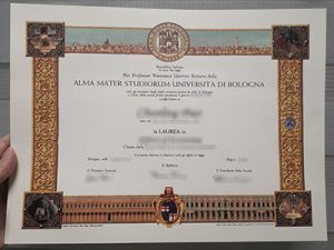 UNIBO degree