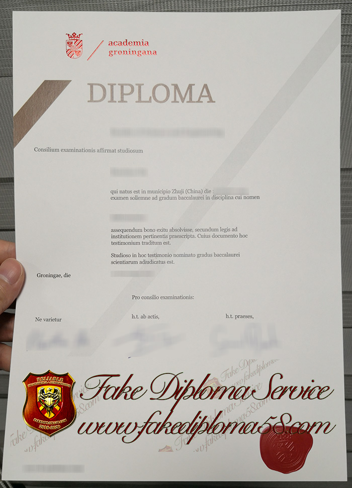 academia groningana diploma