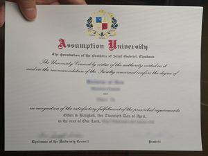 Assumption University degree