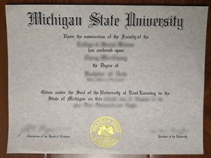 Michigan State University degree