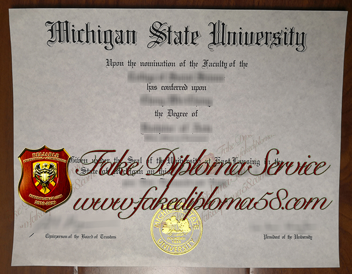 Michigan State University degree