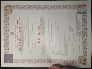 Ministero dell'istruzione diploma