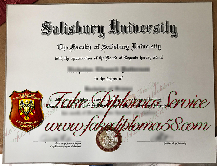 Salisbury University degree