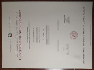 University of Padua degree