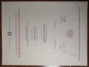 University of Padua degree