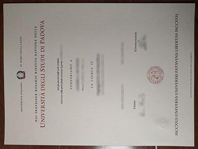 Buy a fake University of Padua degree? Order UNIPD diploma