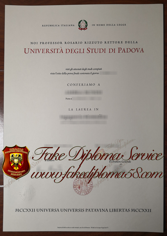 University of Padua degree