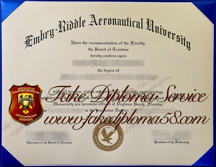 Embry–Riddle Aeronautical University degree