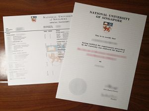 National University of singapore degree