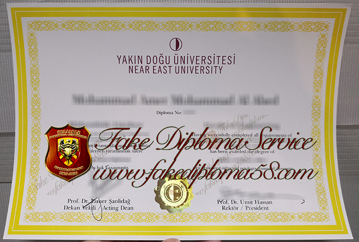 Near East university diploma