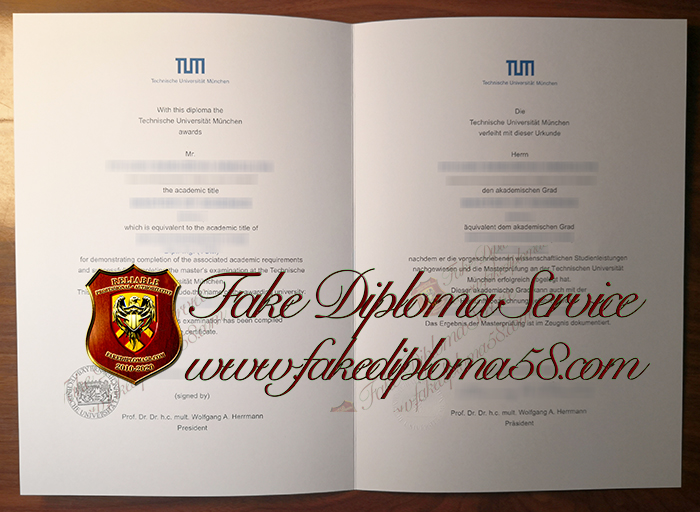 Technical University of Munich diploma