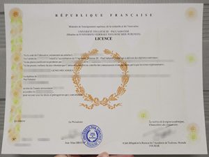 Toulouse III - Paul Sabatier University degree