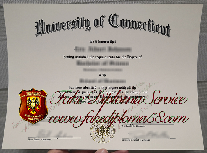 University of Connecticut degree