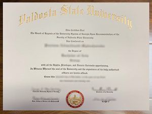 Valdosta State University degree