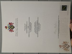 University of Wales trinity saint david degree