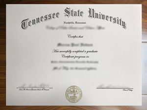Tennessee State University certificate