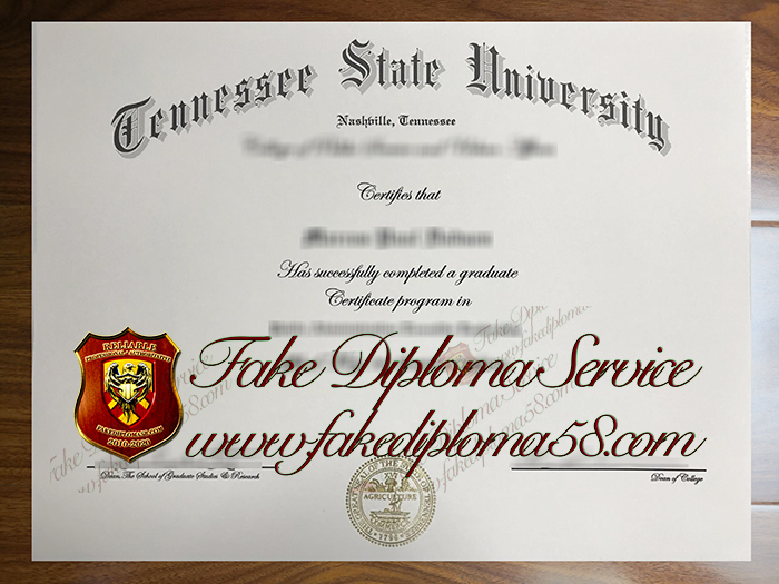 Tennessee State University certificate