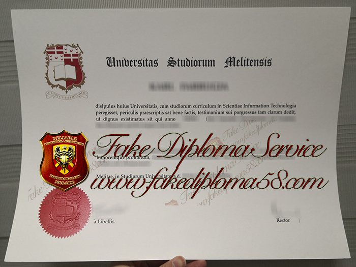 Universitas Studiorum Melitensis degree