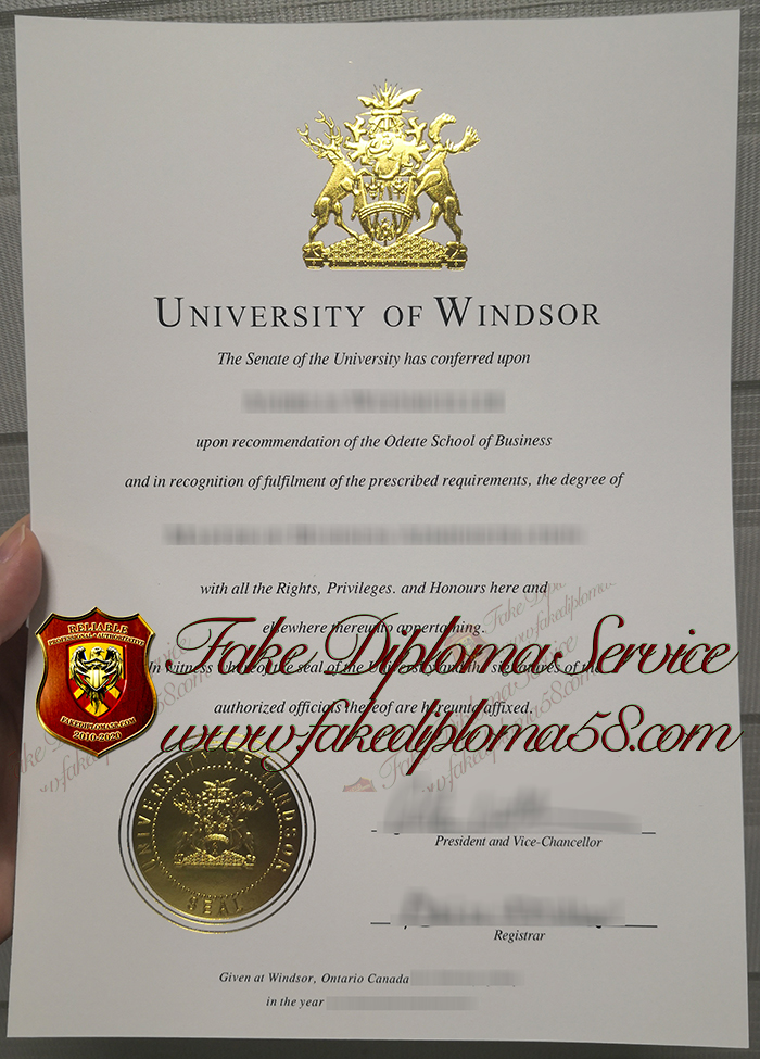 University of Windsor degree