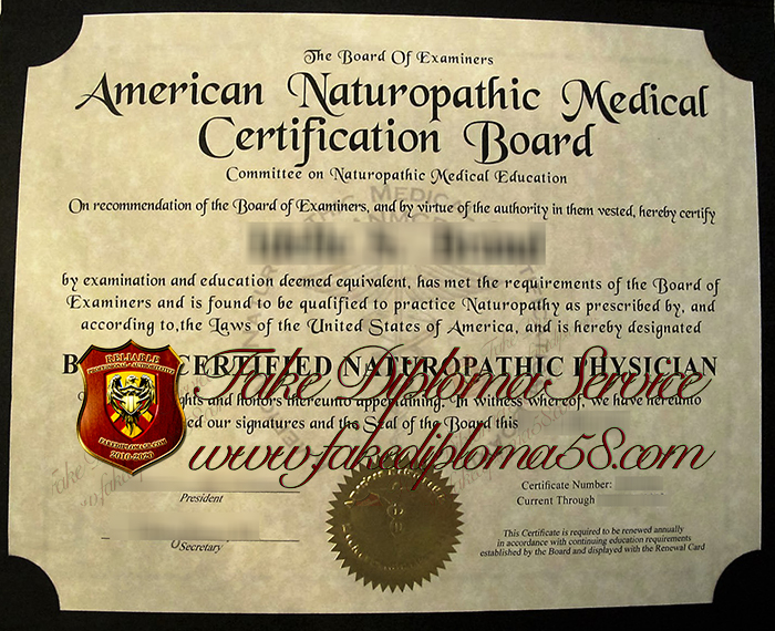 American Naturopathic Medical Certification Board certificate