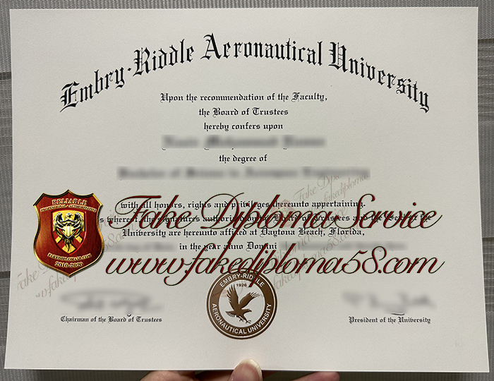 Embry–Riddle Aeronautical University degree