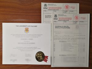 University of Calgary degree and transcript