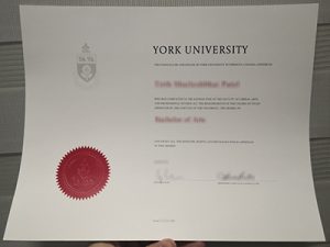 York University degree