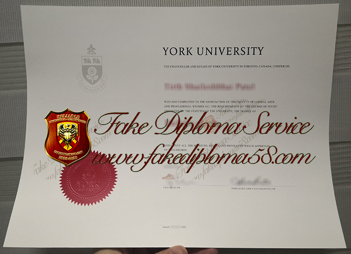 York University degree