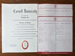 Cornell University degree and transcript