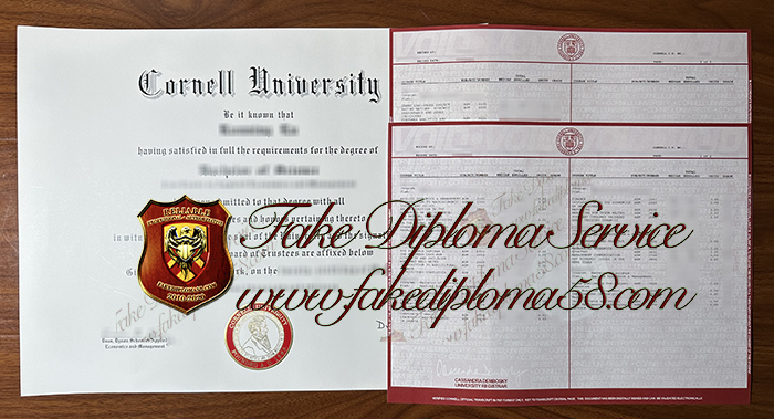 Cornell University degree and transcript