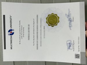 Multimedia University degree