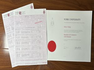 York University degree and transcript