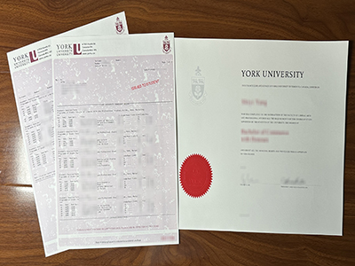 Why I Choose To Buy A Fake York University Degree And Transcript?
