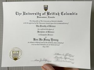 UBC degree