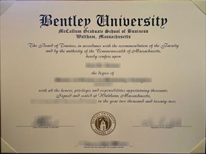Bentley University degree