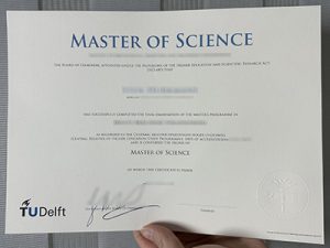 Delft University of Technology degree