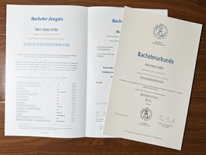 Hamburger Fern Hochschule diploma and transcript
