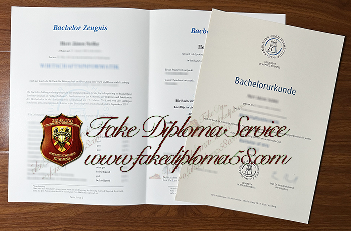 Hamburger Fern Hochschule diploma and transcript
