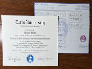 Tufts University degree