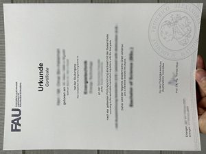 Friedrich-Alexander Universität certificate
