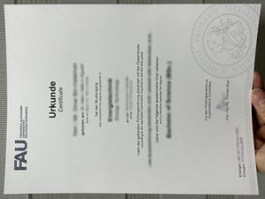 Friedrich-Alexander Universität certificate