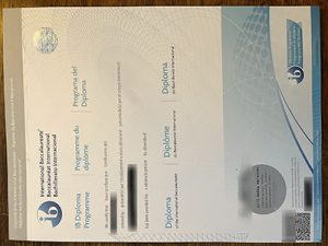 International Baccalaureate diploma