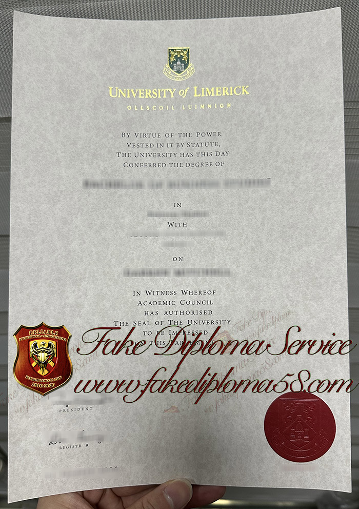 University of Limerick diploma