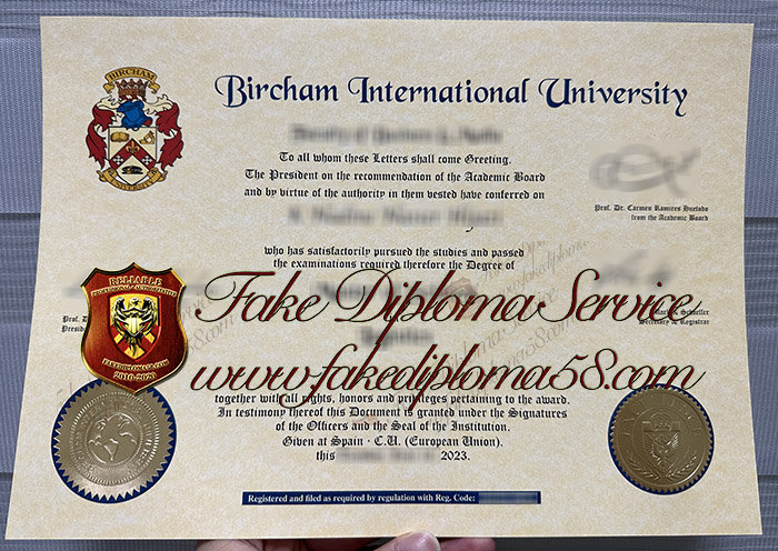 Bircham International University degree