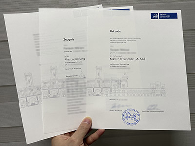 Leibniz Universität hannover diploma