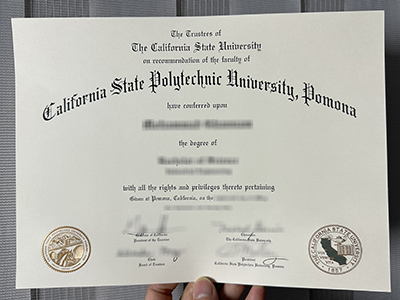 Buying a fake California State Polytechnic University Pomona diploma.
