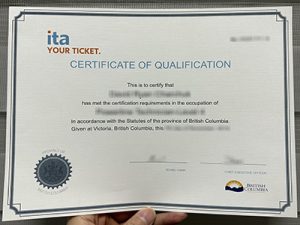 Ita certificate of qualification